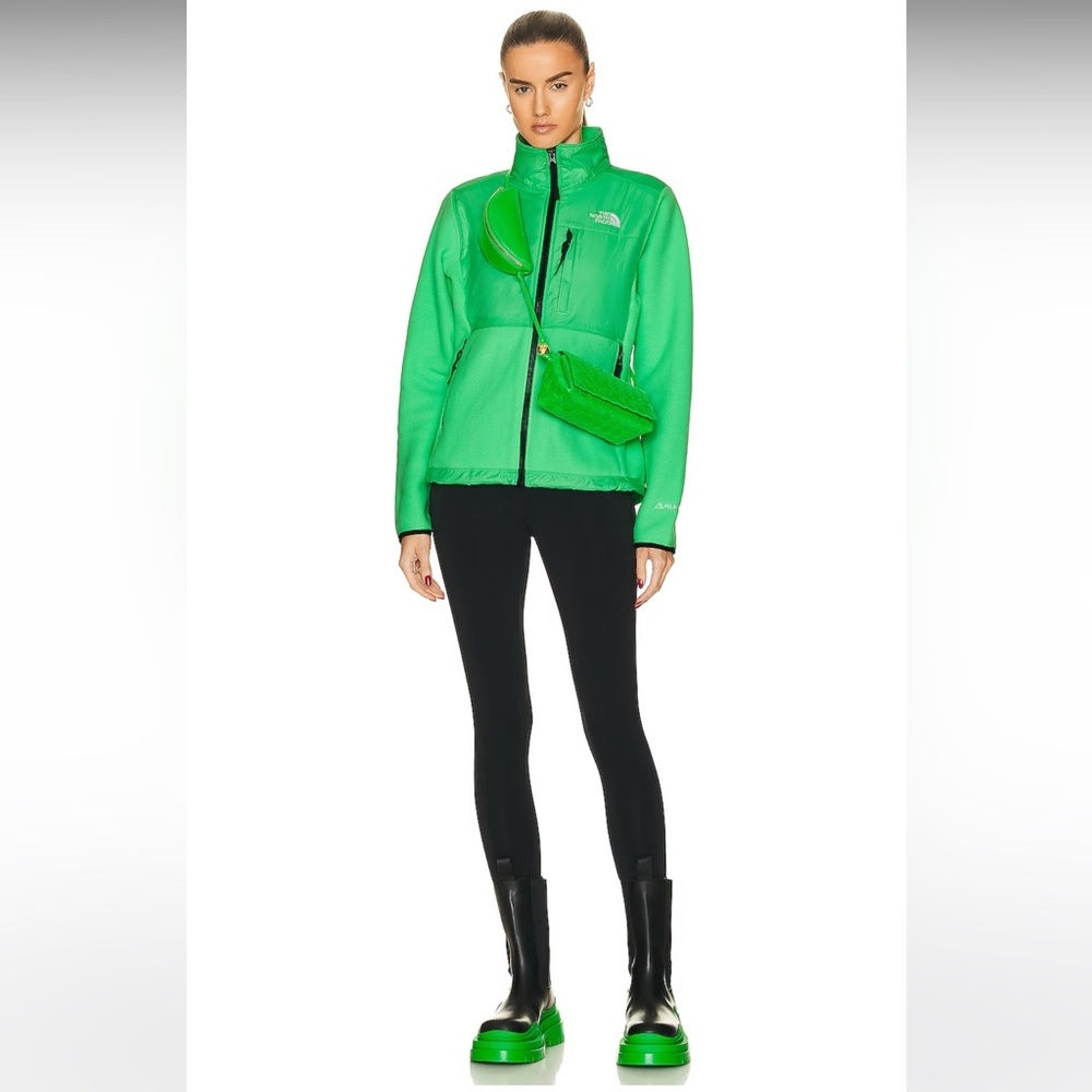 *HOST PICK* NWT The North Face W Denali Jacket in Chlorophyll Green